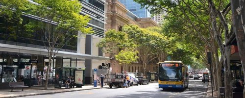 Lexis English Brisbane İngilizce Dil Okulu