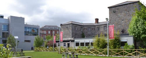 Griffith College Dublin Dil Okulu