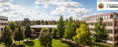 Verona Üniversitesi (Università degli studi di Verona