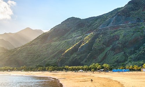 Enforex Tenerife İspanyolca Dil Okulu