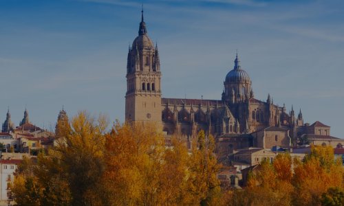 Don Quijote Salamanca İspanyolca Dil Okulu