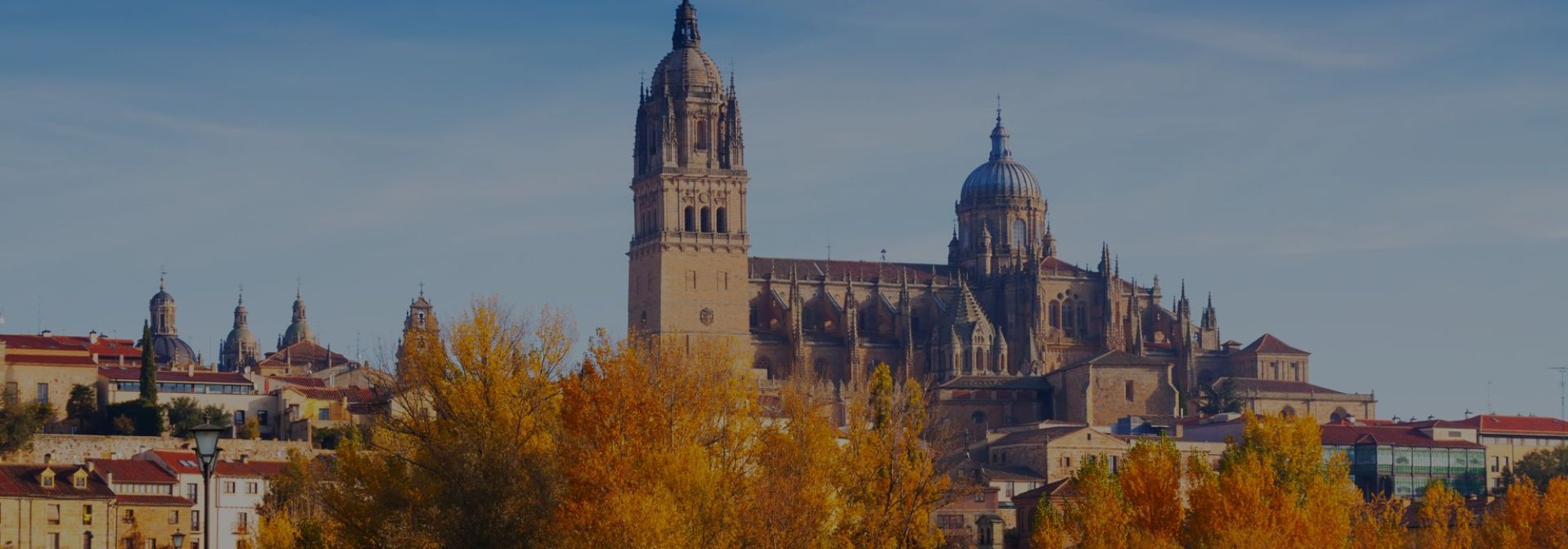 Don Quijote Salamanca İspanyolca Dil Okulu