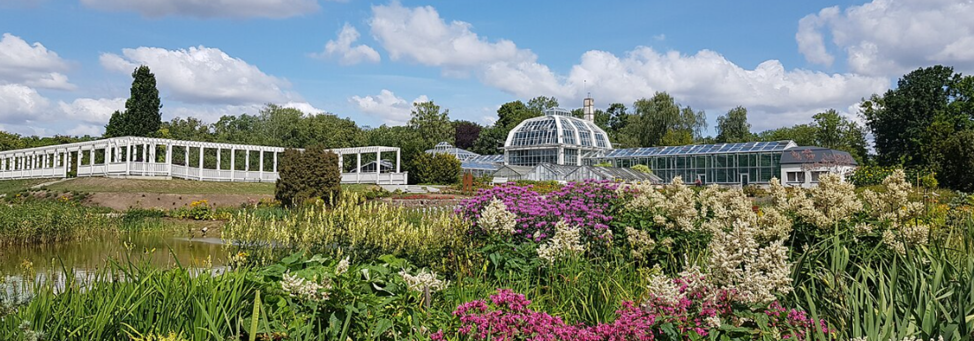 Vytautas Magnus Üniversitesi (VMU)