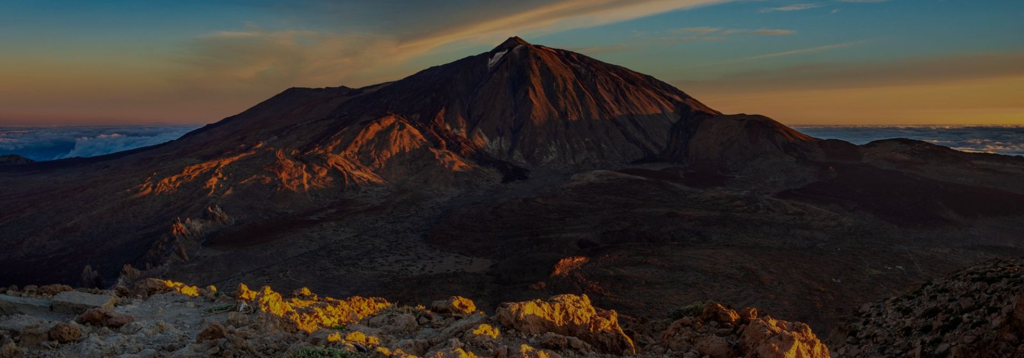 Don Quijote Tenerife İspanyolca Dil Okulu