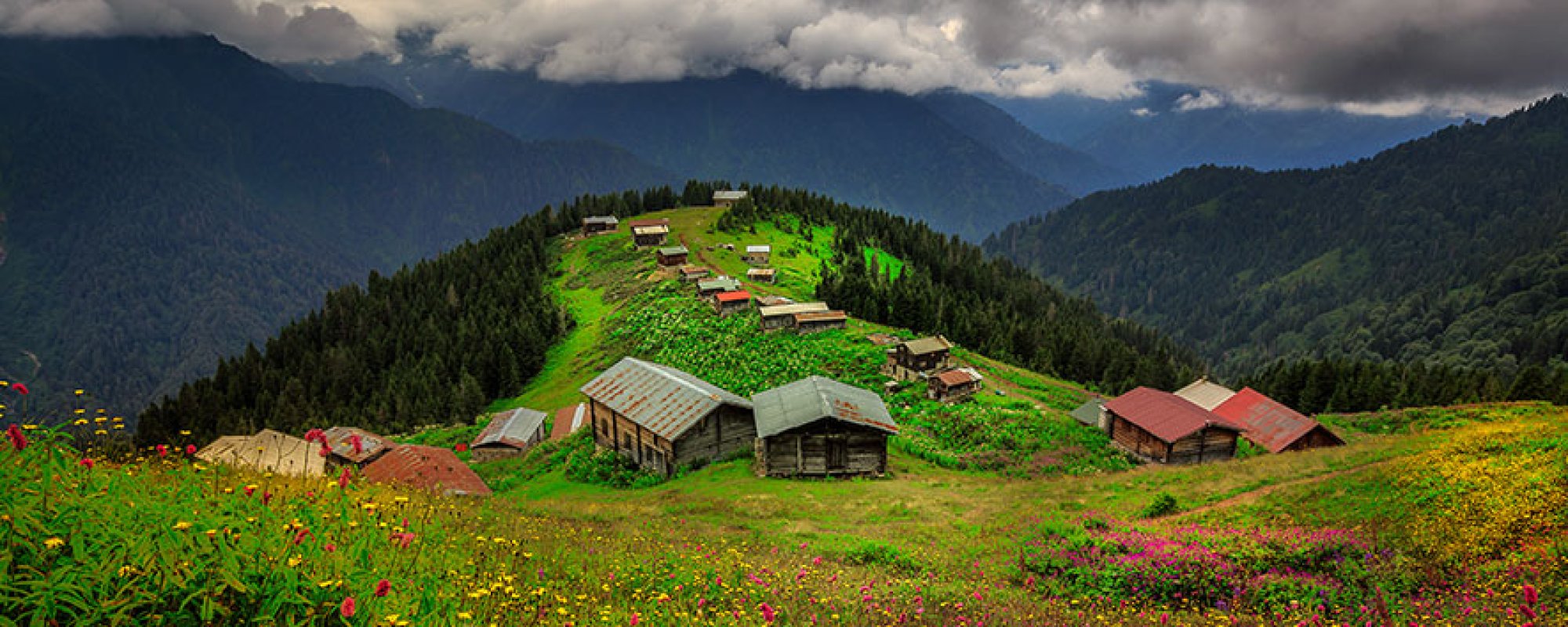 RİZE VİZE BAŞVURU İŞLEMLERİ DANIŞMANLIĞI
