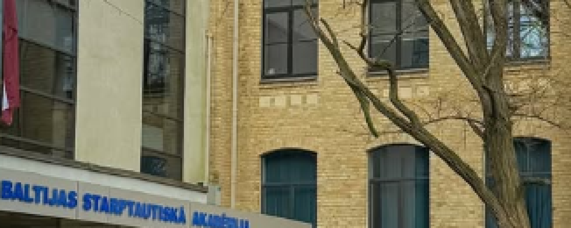 Baltık Uluslararası Akademi